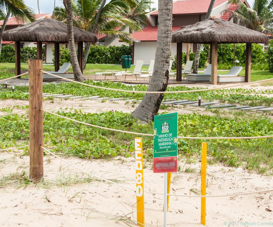 Apto Oka Beach Residence Pôrto das Galinhas Zewnętrze zdjęcie
